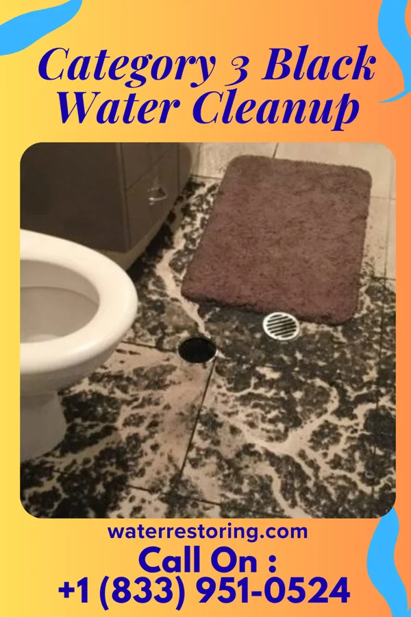 Category 3 Black Water Cleanup in Horton Bay, MI