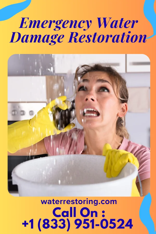 Emergency Water Damage Restoration in Horton Bay, MI